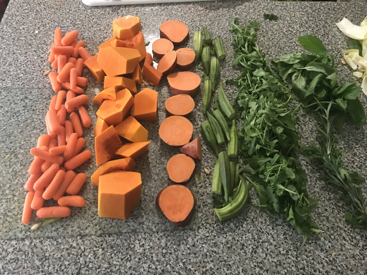 The Philosophy of Gutloading PART 2 | Chameleon Forums