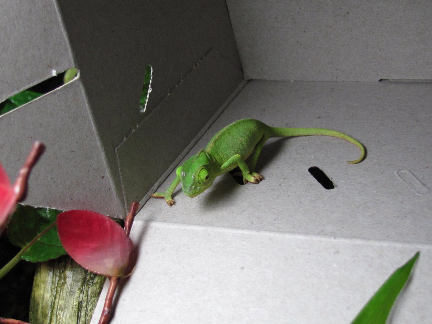 Blog entry 'Where do I Start? Guide to the forums...'