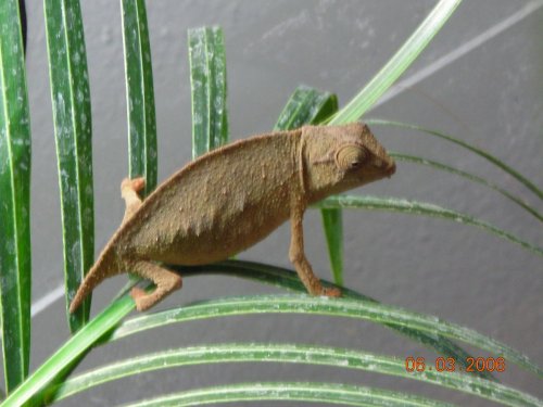 PICS 6-02-06 044.JPG