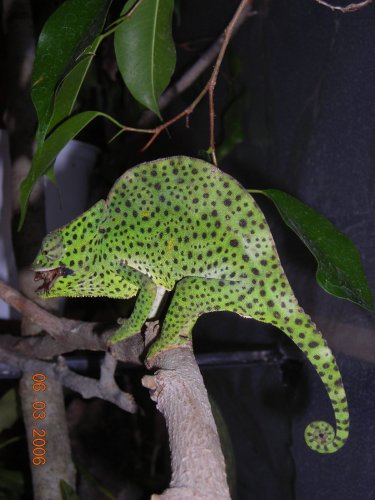 PICS 6-02-06 159.JPG