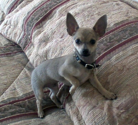 TACO 2 Medium Web view.jpg