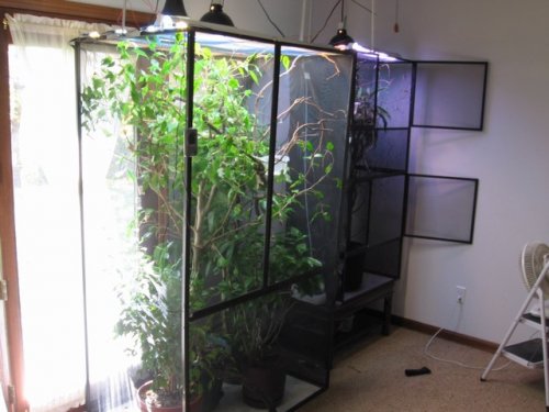 mini-sarsippius 013.jpg