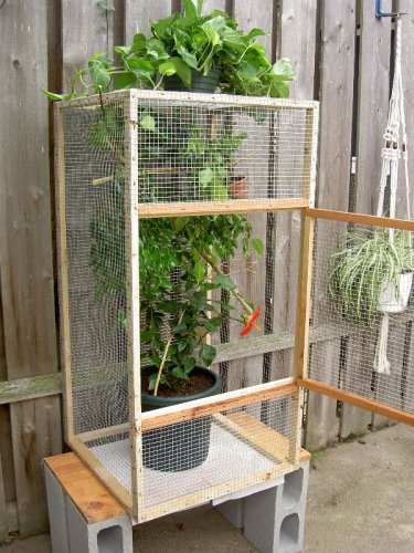 outdoor cage2.JPG