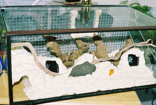 Whitey's tank gs.JPG