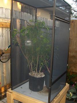 cinnamon's cage xsmall.JPG