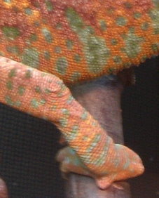 osama10m 004.jpg