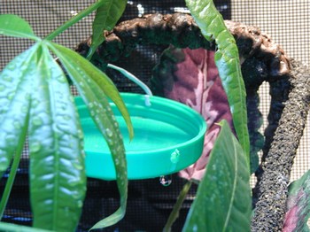 mini-Day 2 of Mel 040.jpg