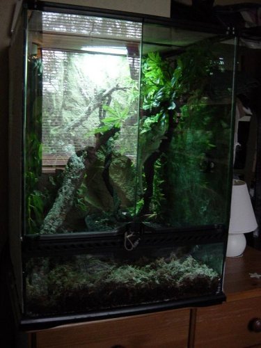 Murph's Old Home.JPG