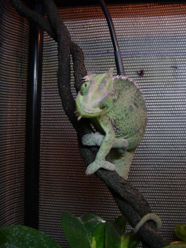 On the turn around.JPG