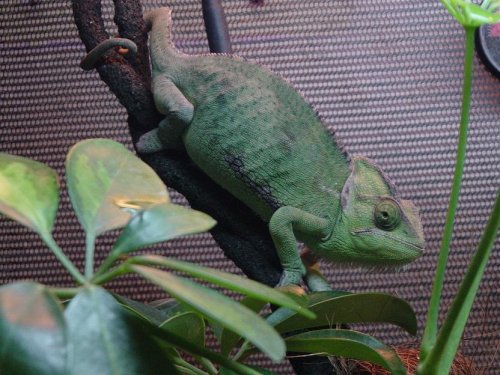 Thinking about moving.JPG