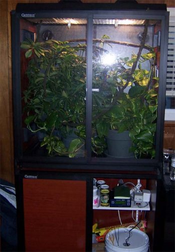 Cage 2 copy.jpg