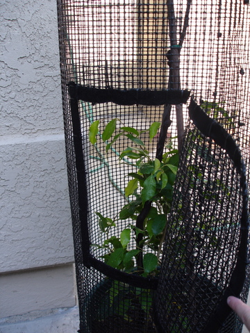 s_DSC04173.jpg
