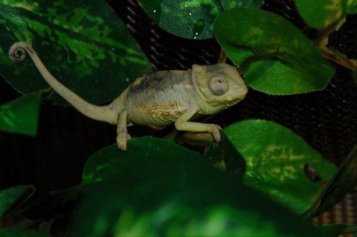DSC_8779.jpg