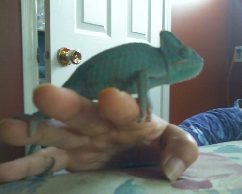 081220071455.jpg