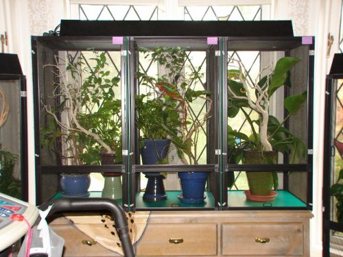 Exercise Room #1.jpg