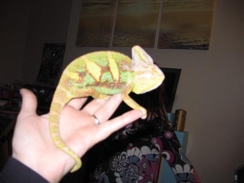 spike.jpg (Small).jpg