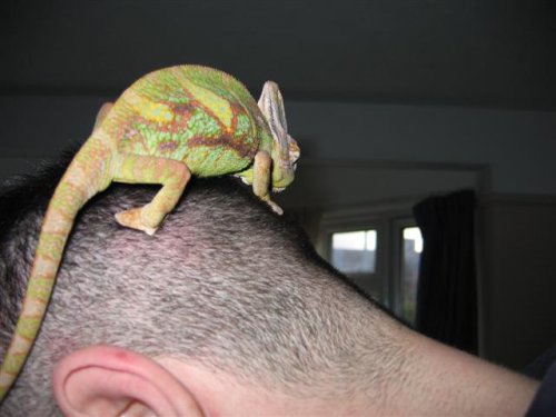 spike1.jpg (Small).jpg