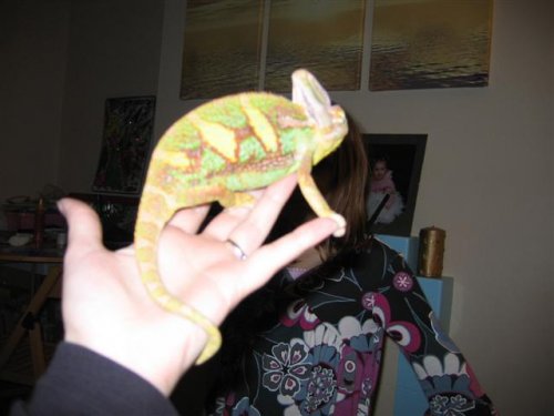 spike2.jpg (Small).jpg