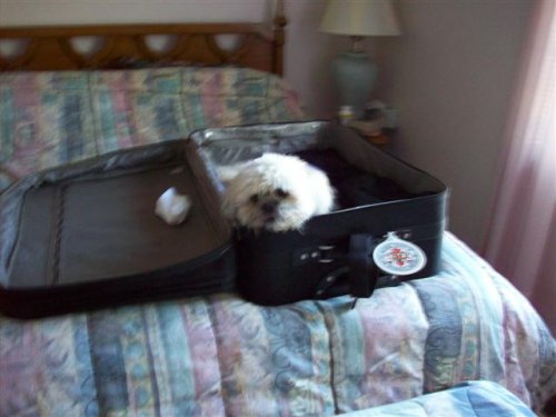 John and Sara2 002 (Small).jpg