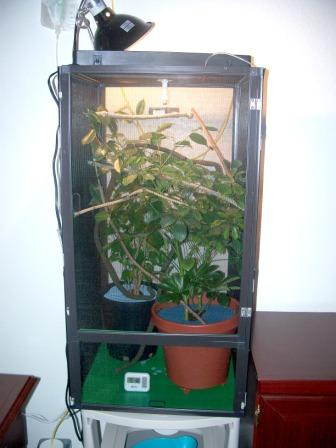 Enclosure 1.jpg