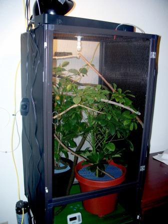 Enclosure 5.jpg