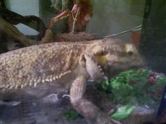 Picture 050 (WinCE).jpg