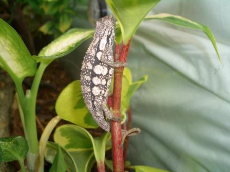 Copy of Picture 410.jpg