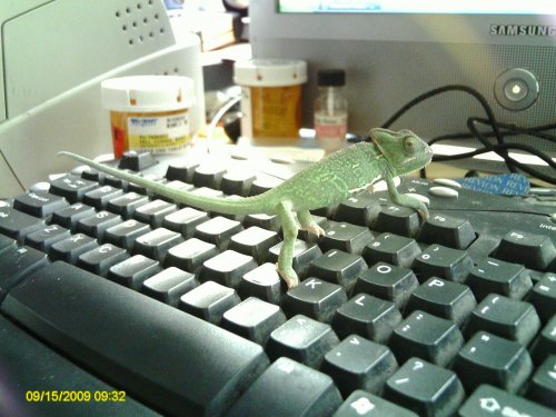Zee 050.jpg