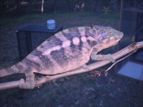 DSCN1573.JPG
