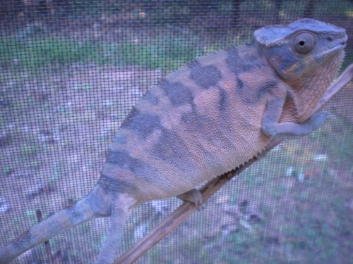DSCN1577.JPG