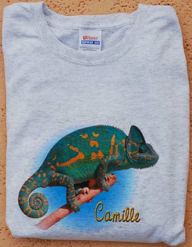 bag keychain shirt 035.JPG