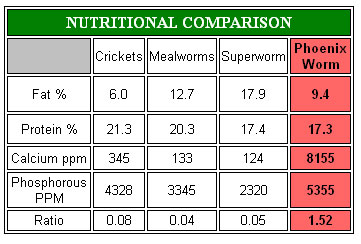 phoenix worm nutrition chart.jpg