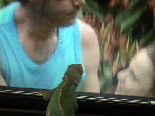 ssssssssshhhhhhhhhhhh.jpg