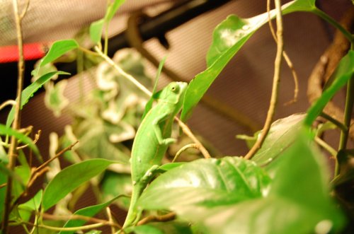 DSC_1274.jpg