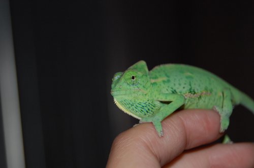 DSC_1338.jpg