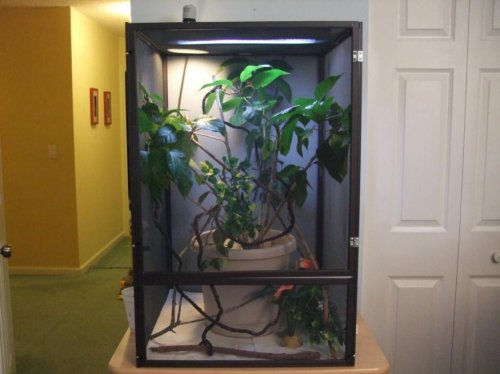 BORED PICTURES 032.jpg