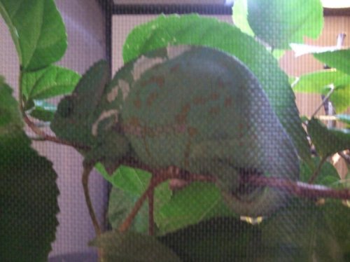 BORED PICTURES 033.jpg