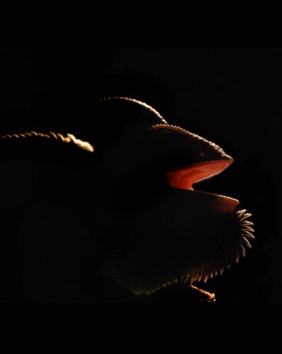 Lennonpromenad 028siluettcrop.jpg