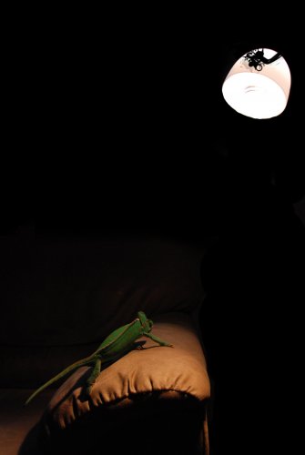 Lennonpromenad 009crop.jpg