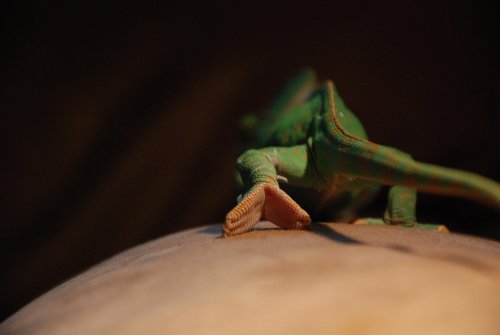 Lennonpromenad 020 copy.jpg