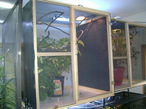 kevin 004 [1280x768].jpg