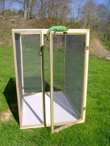 cage 003 [1024x768].jpg