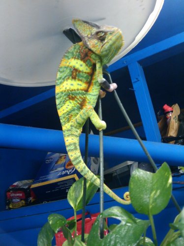 2009-06-26 13.38.48.jpg