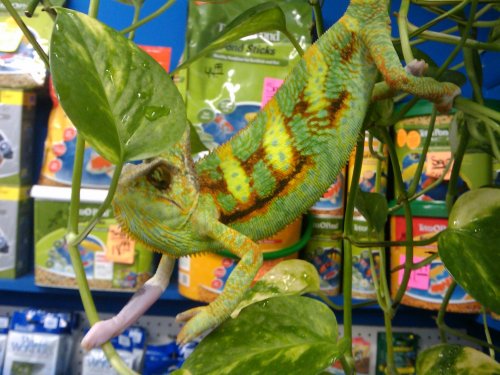 2009-06-22 11.28.20.jpg