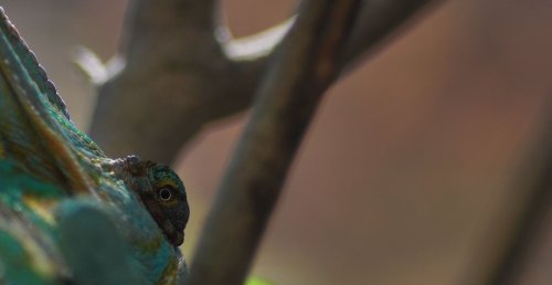 Uterummet 005crop.jpg