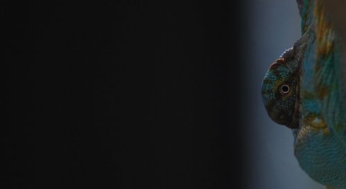 Uterummet 006crop.jpg