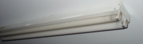 DSC08287.JPG
