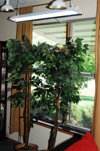 freerangered 058.jpg