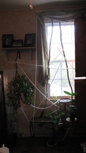 IMG_3550.jpg