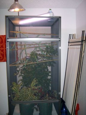 004.JPG